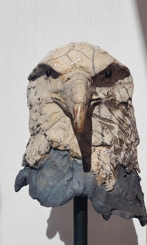 Aigle