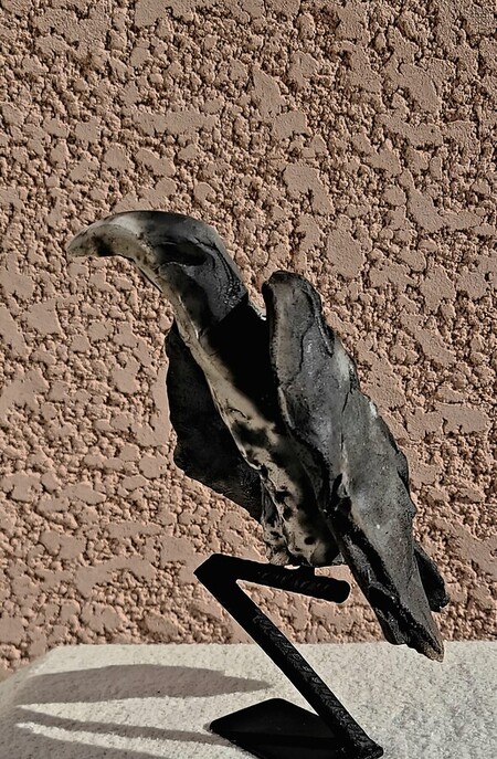 Le corbac