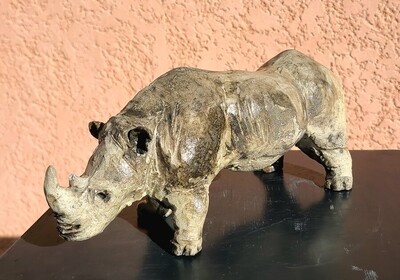 Le  rhinoc&eacute;ros