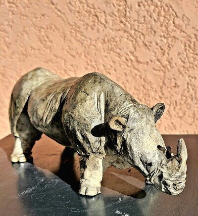 Le  rhinoc&eacute;ros