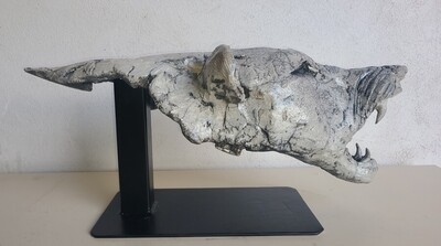 T&ecirc;te ours polaire