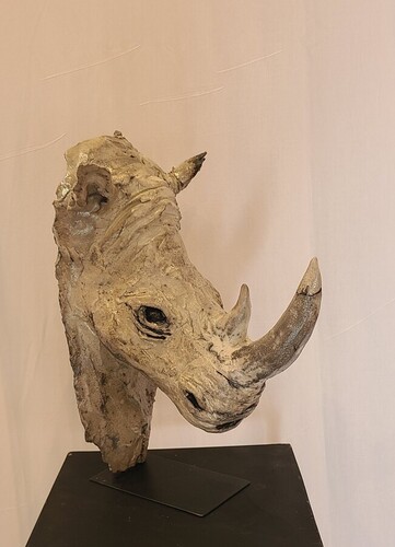 Le  rhinoc&eacute;ros