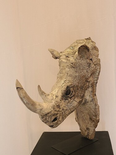 Le  rhinoc&eacute;ros