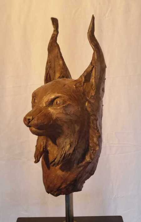 le caracal, le lynx du d&eacute;sert